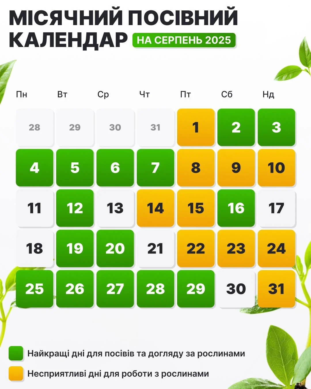 Посівний календар на серпень 2025